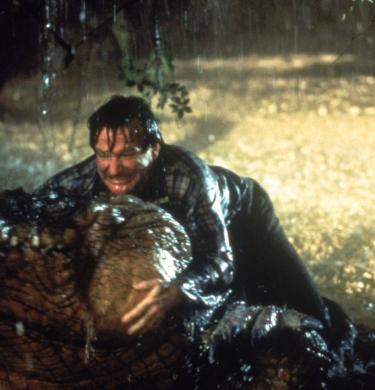 hero jumanji